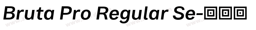 Bruta Pro Regular Se字体转换